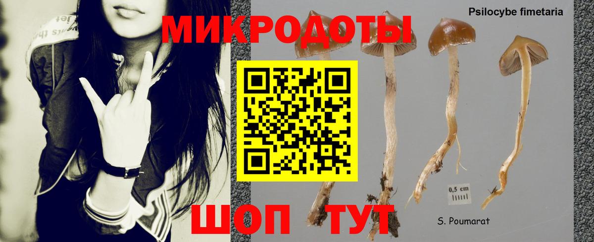 Галлюциногенные грибы мухоморы  Псилоцибиновые грибы мицелий  Вход с VPN  Шадринск 