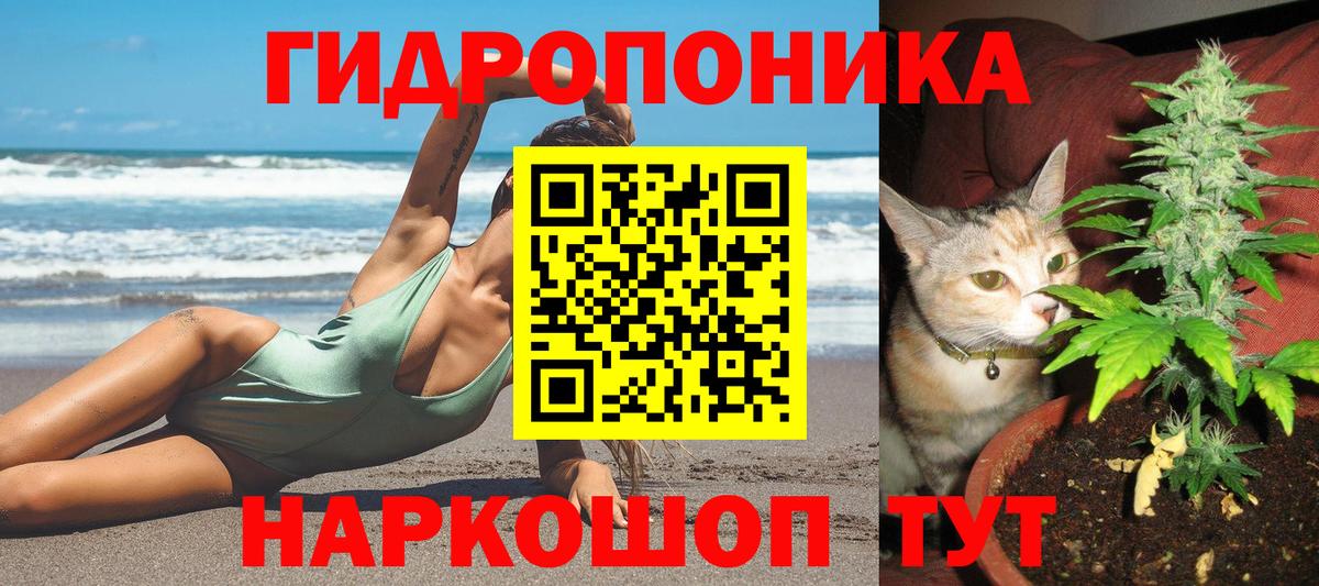Бошки марихуана ГИДРОПОН Шадринск